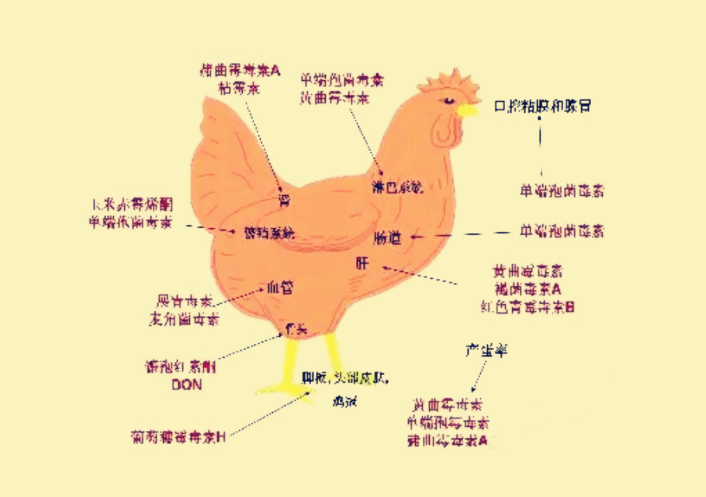 3124_副本.png