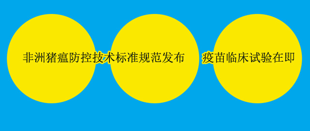 非洲豬瘟.jpg