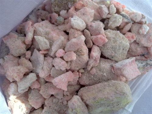 蒙脫石對(duì)大腸桿菌的吸附作用